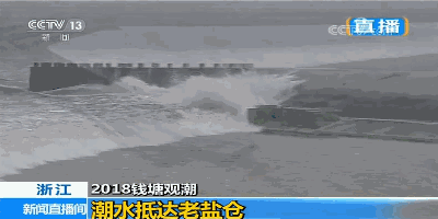 冲浪夜战：钱塘天虎队翻盘岭北霹雳队，临门一脚致胜主场山呼海啸(血战松毛岭完整版免费)